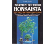 I segreti e i trucchi del bonsaista per ottenere forme originali e piante durevoli