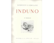 Domenico e Gerolamo Induno 37 disegni