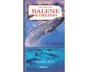 I libri della Natura: Balene e delfini