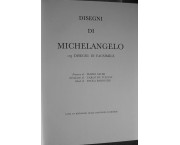 Disegni di Michelangelo. 103 disegni in facsimile