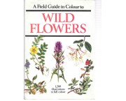 A field guide in colour to wild flowers