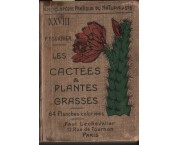 Les CACTEES et les PLANTES GRASSES