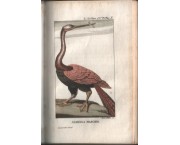 Secondo viaggio di F. Le Vaillant nell'interno dell'Africa pel Capo Buona Speranza, in 4 voll.