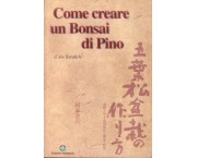 Come creare un bonsai di pino