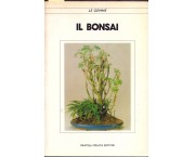 Il bonsai