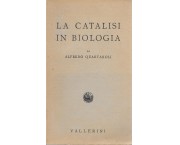 La catalisi in biologia