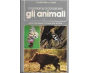 Impariamo a riconoscere gli animali