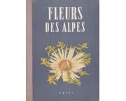 Fleurs des Alpes