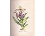 Le MUSEUM d'Histoire Naturelle - Histoire de la fondation et des développements successifs de l'ét ...