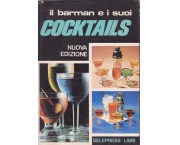 Il barman e i suoi cocktails