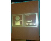 Remo Brindisi. Ipotesi per un profilo