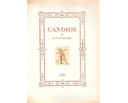 Candide