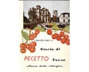 Storia di Pecetto Torinese 