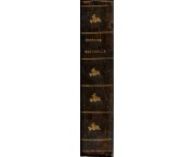 Precis élémentaire d'histoire naturelle