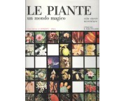 Le piante un mondo magico