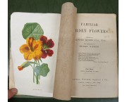 Familiar garden flowers. First -Second - Third Series, 3 voll. rilegati in 1 tomo