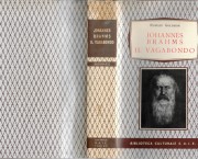 Johannes Brahms il vagabondo