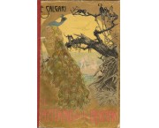 Il Capitano della Dyumna