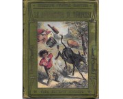 Le avventure di Tompussi adattate per bambini da Antonio Quattrini G.