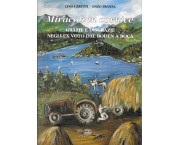 Miracoli in cornice. Grazie e disgrazie negli ex voto dal Boden a Boca