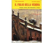 Il figlio della vedova. Romanzo storico sulla Massoneria a Torino