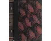 Luci ed ombre sul Saccarello