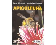 Apicoltura