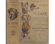 Il cane