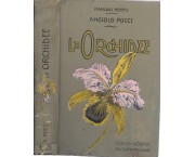Le Orchidee
