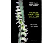 Orchidee spontanee del Lazio