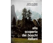 Alla scoperta dei boschi italiani