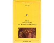 Cura delle malattie con le essenze delle piante