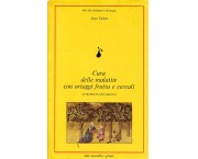 Cura delle malattie con ortaggi frutta e cereali. Le propietà dell'argilla