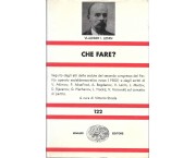 Che fare? Problemi scottanti del nostro movimento