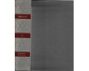 Commento al Vangelo di Giovanni