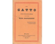 Sul gatto. Cenni fisiologico-morali