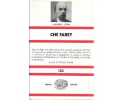 Che fare? Problemi scottanti del nostro movimento