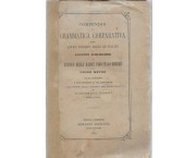 Compendio di grammatica comparativa dello antico indiano, greco ed italico e Lessico delle radici in ...