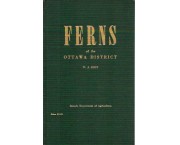 Ferns of Ottawa District