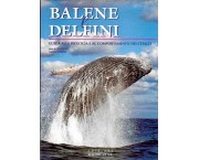 Balene e delfini. Guida alla biologia e al comportamento dei cetacei