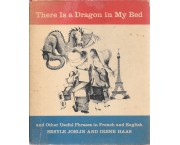 There Is a Dragon in My Bed