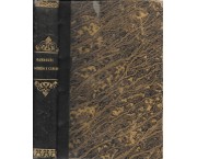 Sulla genesi e cura dello scirro e del cancro